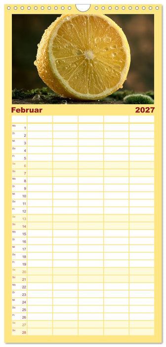 Fruchtbar schön! (CALVENDO Familienplaner 2027)
