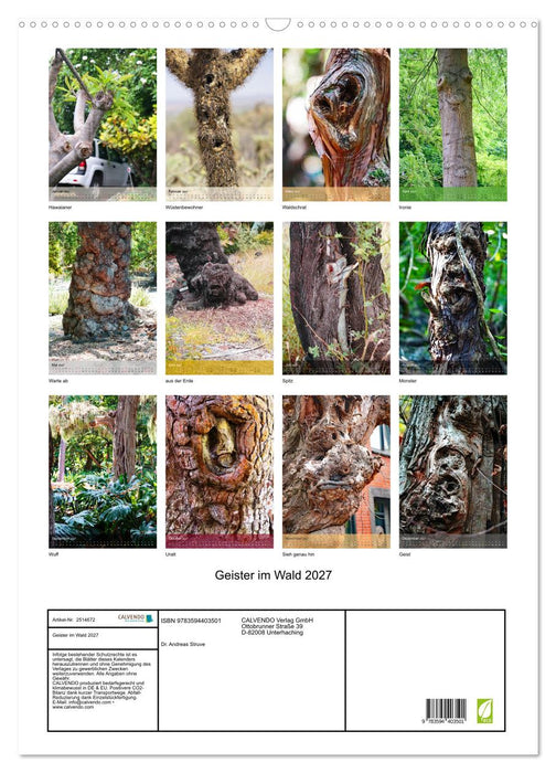Geister im Wald 2027 (CALVENDO Wandkalender 2027)