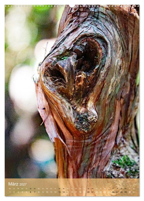 Geister im Wald 2027 (CALVENDO Wandkalender 2027)