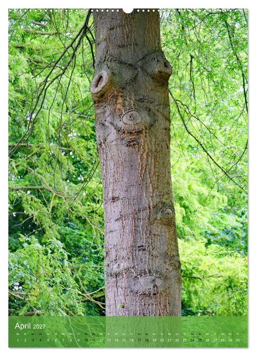 Geister im Wald 2027 (CALVENDO Wandkalender 2027)