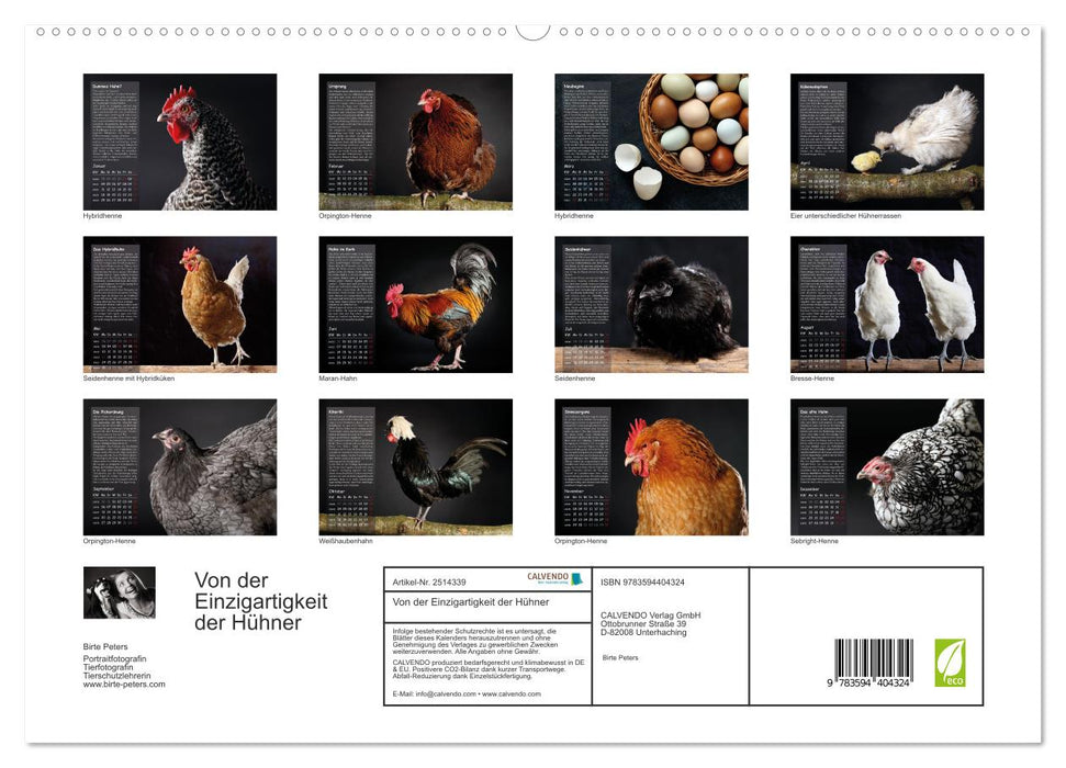 Von der Einzigartigkeit der Hühner (CALVENDO Wandkalender 2027)