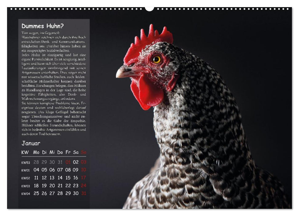Von der Einzigartigkeit der Hühner (CALVENDO Wandkalender 2027)