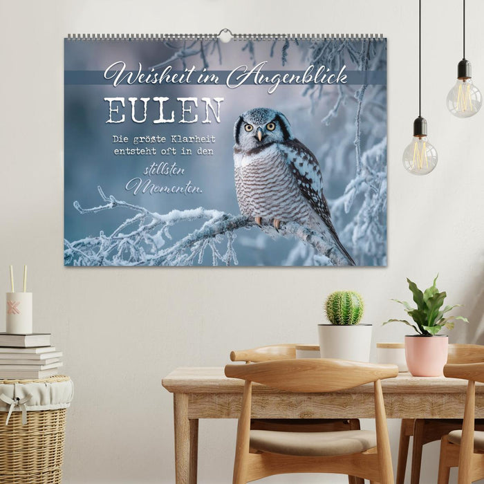Eulen - Weisheit im Augenblick (CALVENDO Wandkalender 2027)