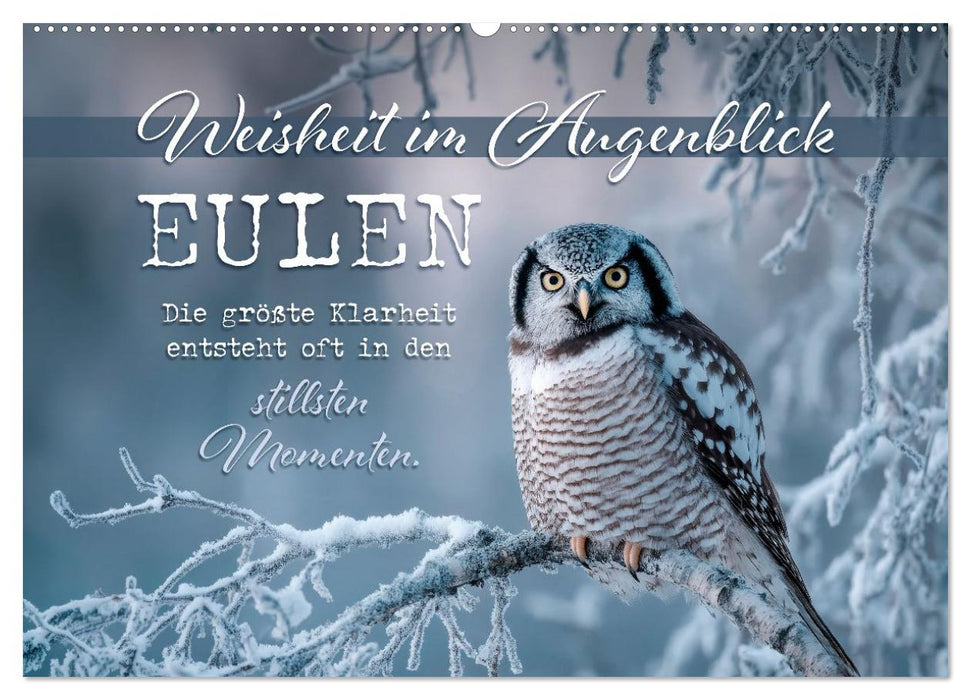 Eulen - Weisheit im Augenblick (CALVENDO Wandkalender 2027)