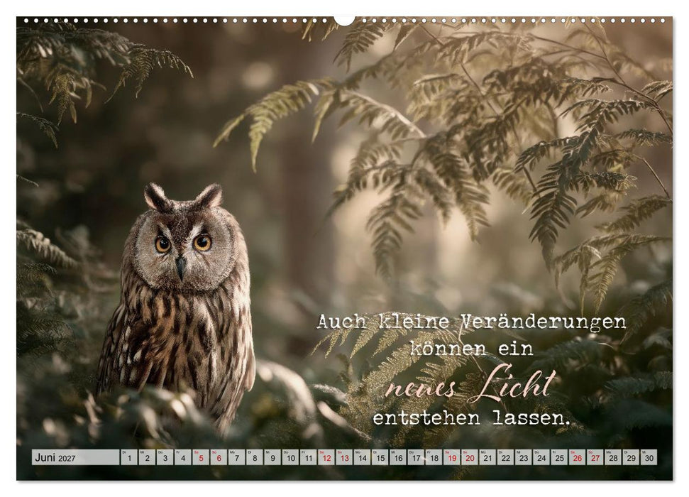 Eulen - Weisheit im Augenblick (CALVENDO Wandkalender 2027)
