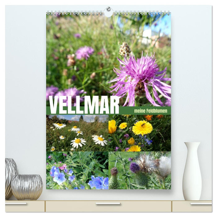 Vellmar meine Feldblumen (CALVENDO Premium Wandkalender 2027)