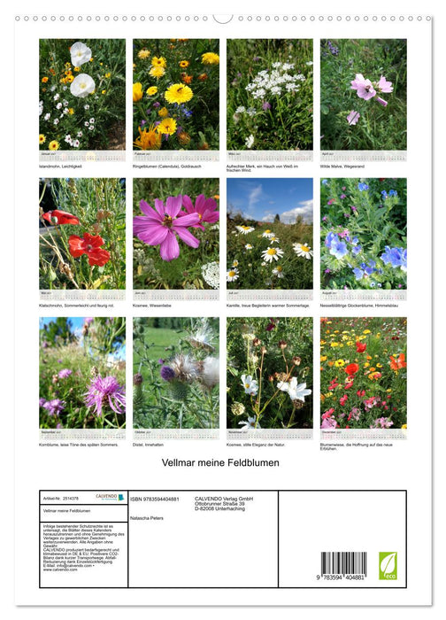 Vellmar meine Feldblumen (CALVENDO Premium Wandkalender 2027)