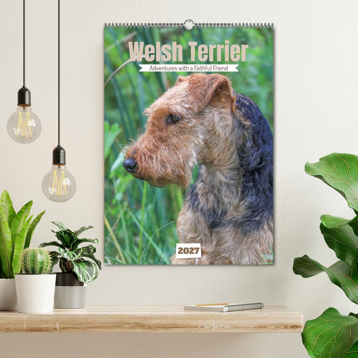 Welsh Terrier - Adventures with a Faithful Friend (CALVENDO Monthly Calendar 2027)