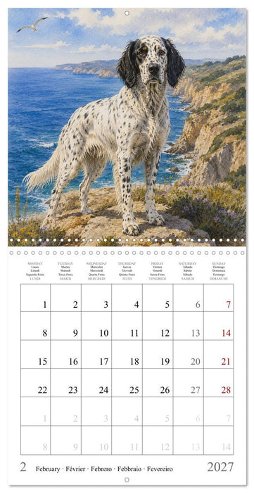 Balades canines (CALVENDO Calendrier mensuel 2027)