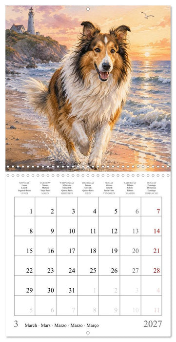 Balades canines (CALVENDO Calendrier mensuel 2027)
