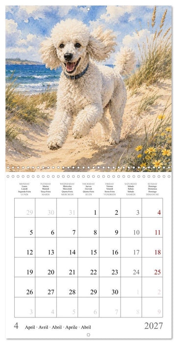 Balades canines (CALVENDO Calendrier mensuel 2027)
