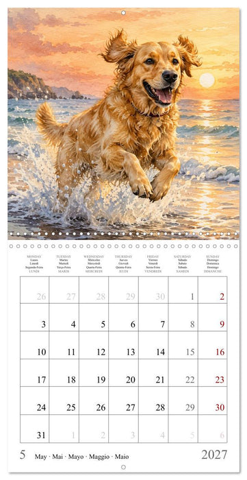 Balades canines (CALVENDO Calendrier mensuel 2027)