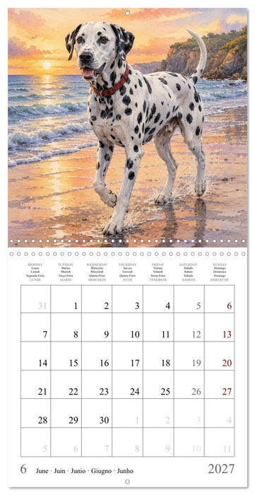 Balades canines (CALVENDO Calendrier mensuel 2027)