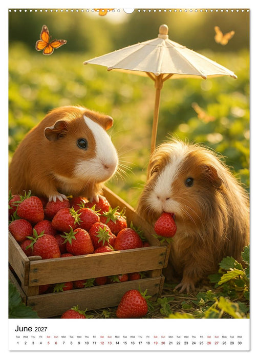 Guinea Pigs Cozy Moments (CALVENDO Premium-Calendar 2027)