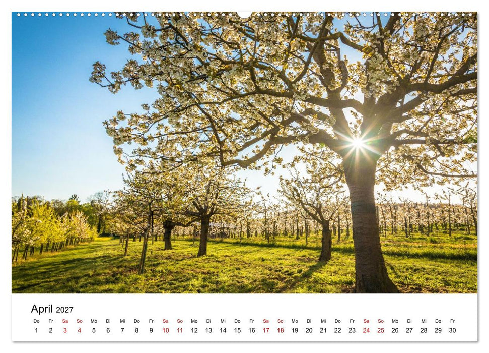 Wiesbadener Impressionen (CALVENDO Wandkalender 2027)