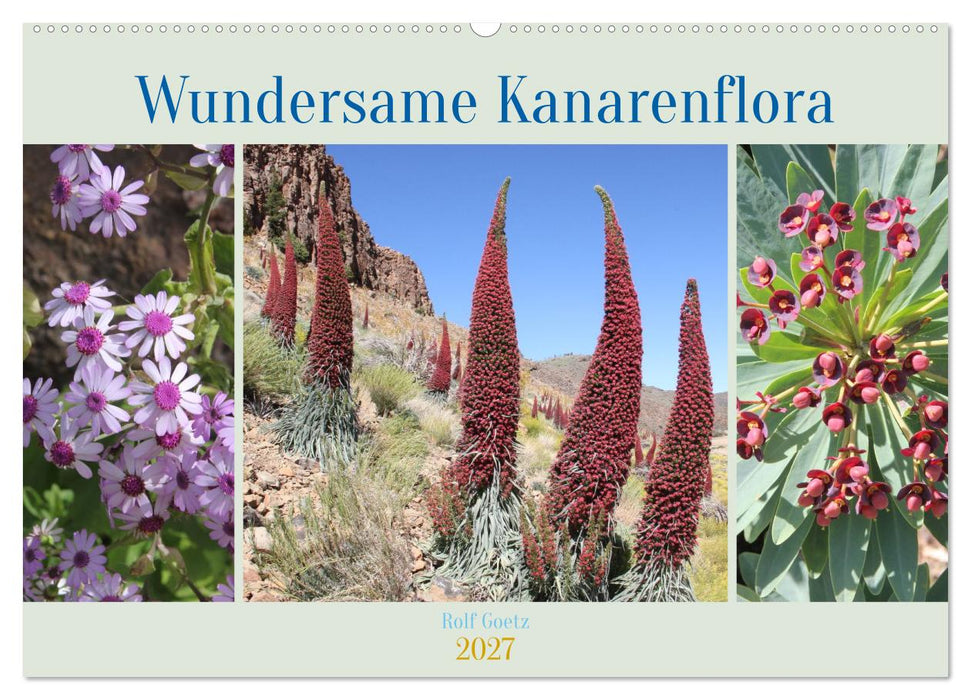 Wundersame Kanarenflora (CALVENDO Wandkalender 2027)