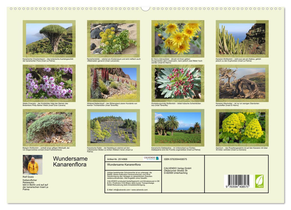 Wundersame Kanarenflora (CALVENDO Wandkalender 2027)