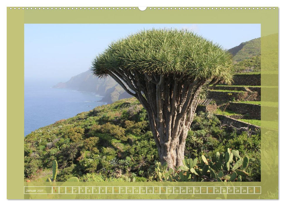 Wundersame Kanarenflora (CALVENDO Wandkalender 2027)