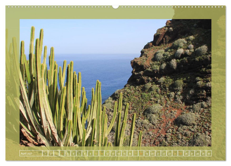 Wundersame Kanarenflora (CALVENDO Wandkalender 2027)