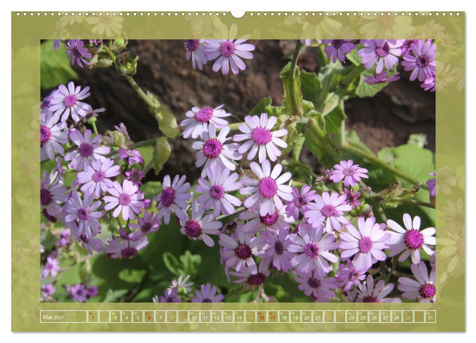 Wundersame Kanarenflora (CALVENDO Wandkalender 2027)