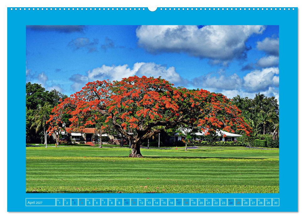 FLORIDA SPOTS (CALVENDO Wandkalender 2027)