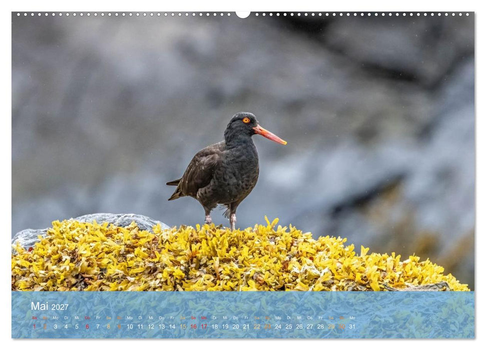 Inside Passage - Alaska (CALVENDO Premium Wandkalender 2027)