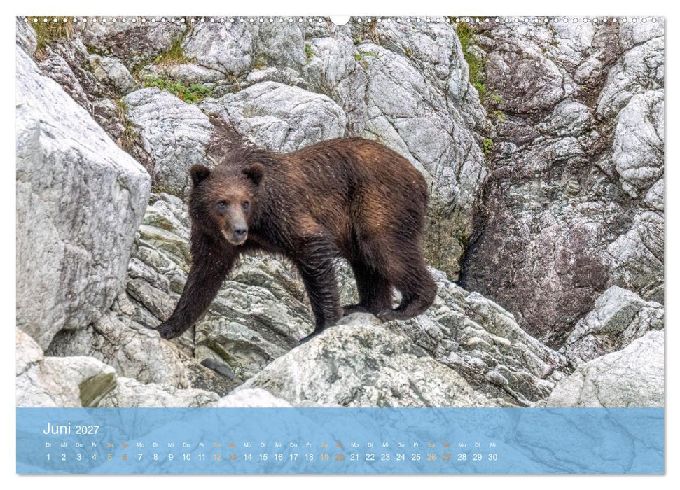 Inside Passage - Alaska (CALVENDO Premium Wandkalender 2027)