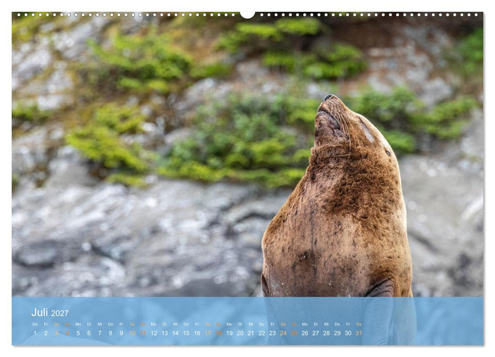 Inside Passage - Alaska (CALVENDO Premium Wandkalender 2027)