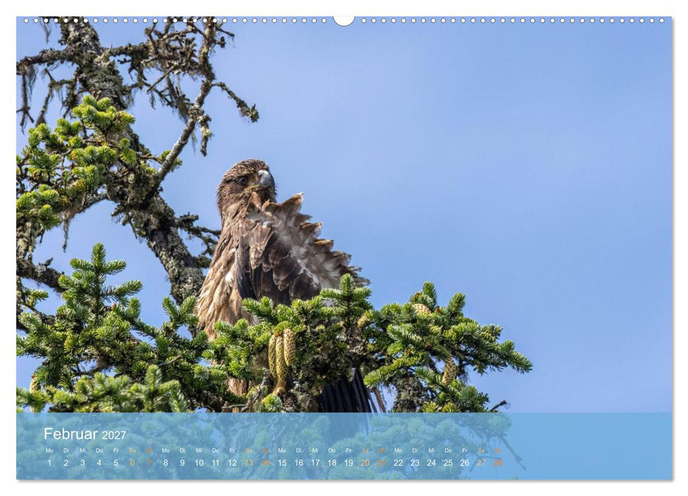 Inside Passage - Alaska (CALVENDO Wandkalender 2027)