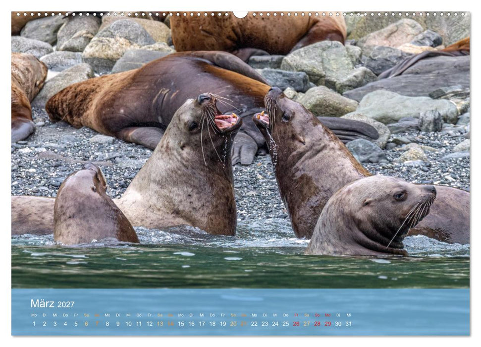 Inside Passage - Alaska (CALVENDO Wandkalender 2027)