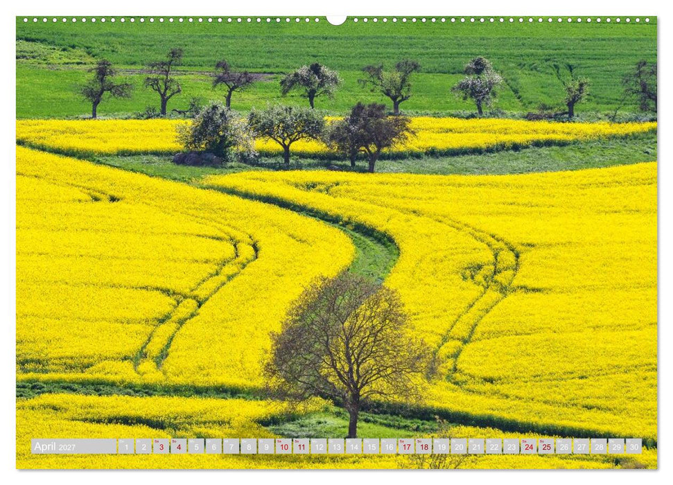 Traumland Eifel (CALVENDO Wandkalender 2027)