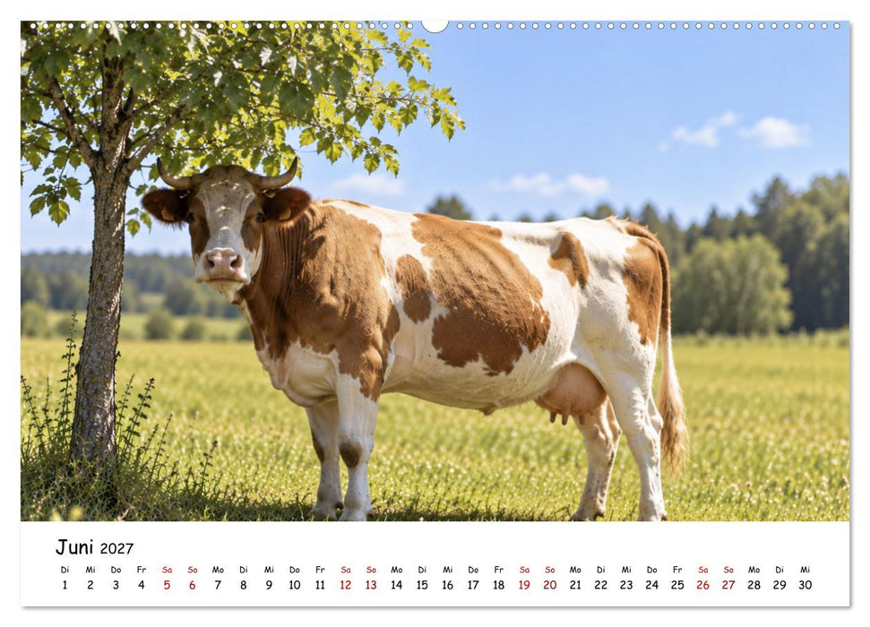 EINFACH ANDERS - Tiere mit Charakter (CALVENDO Wandkalender 2027)