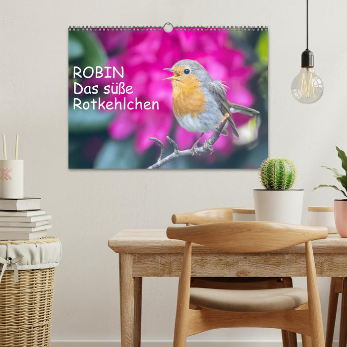 Robin, das süße Rotkehlchen (CALVENDO Wandkalender 2027)