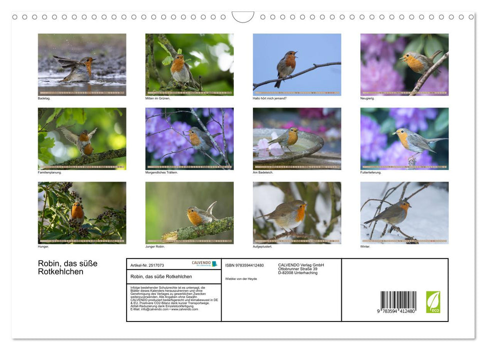Robin, das süße Rotkehlchen (CALVENDO Wandkalender 2027)
