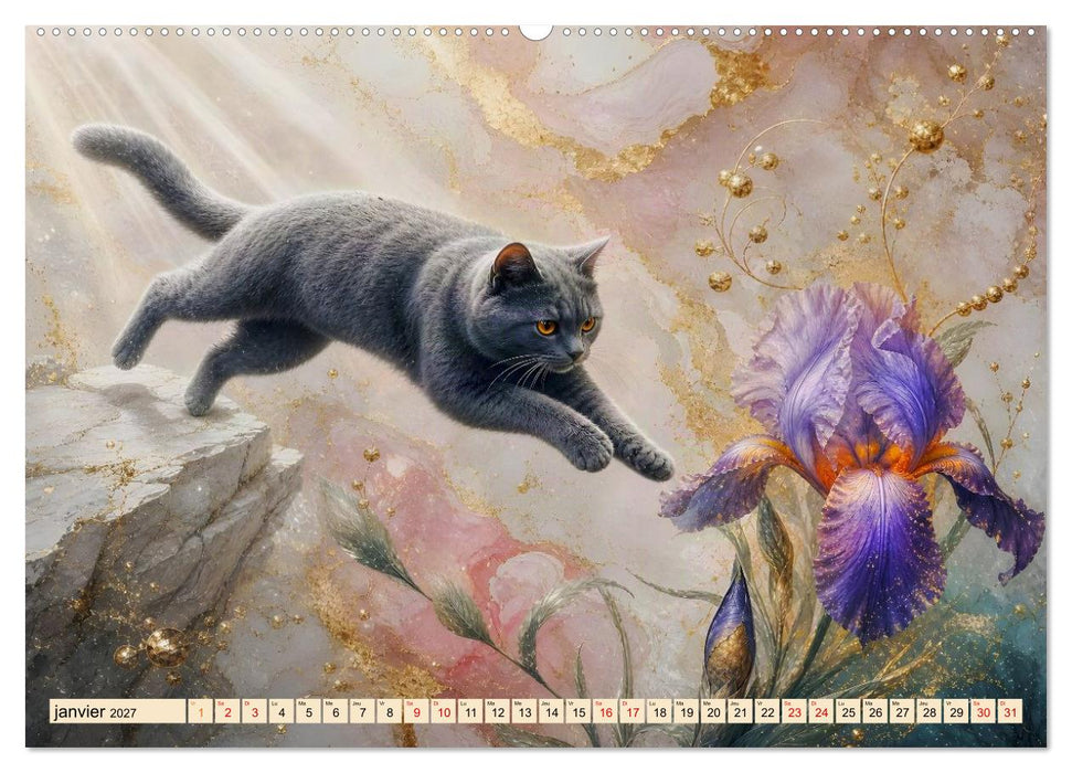 Bouquets de chats (CALVENDO Calendrier supérieur 2027)