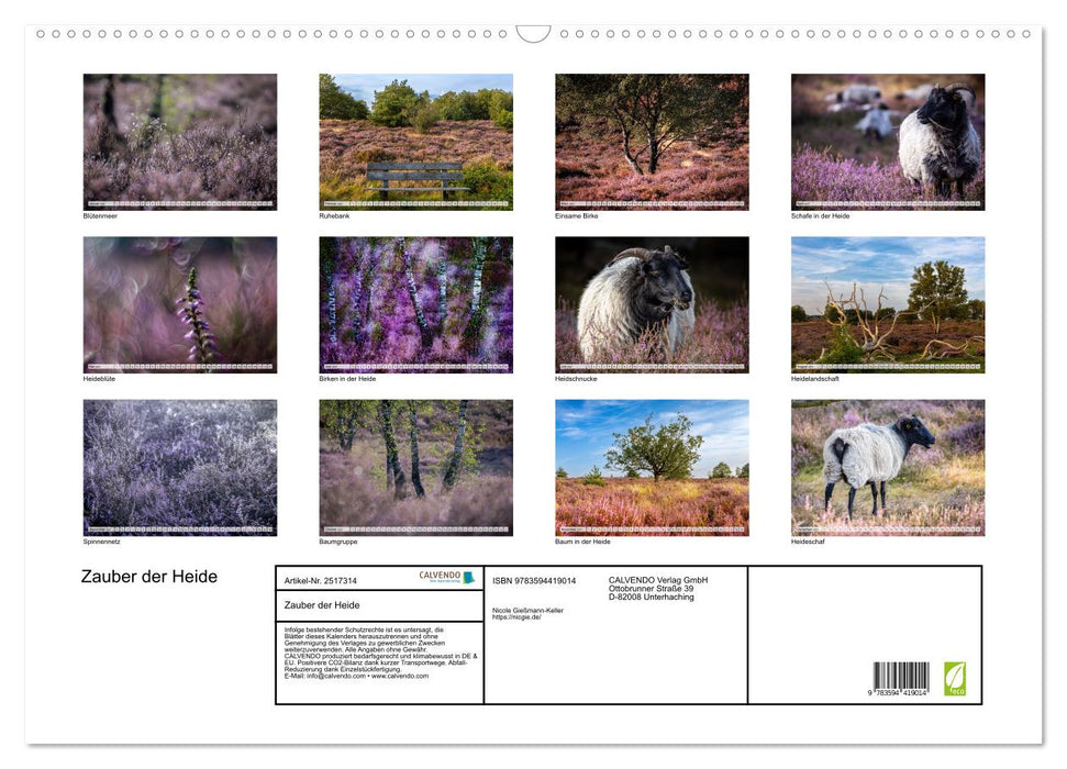 Zauber der Heide (CALVENDO Wandkalender 2027)