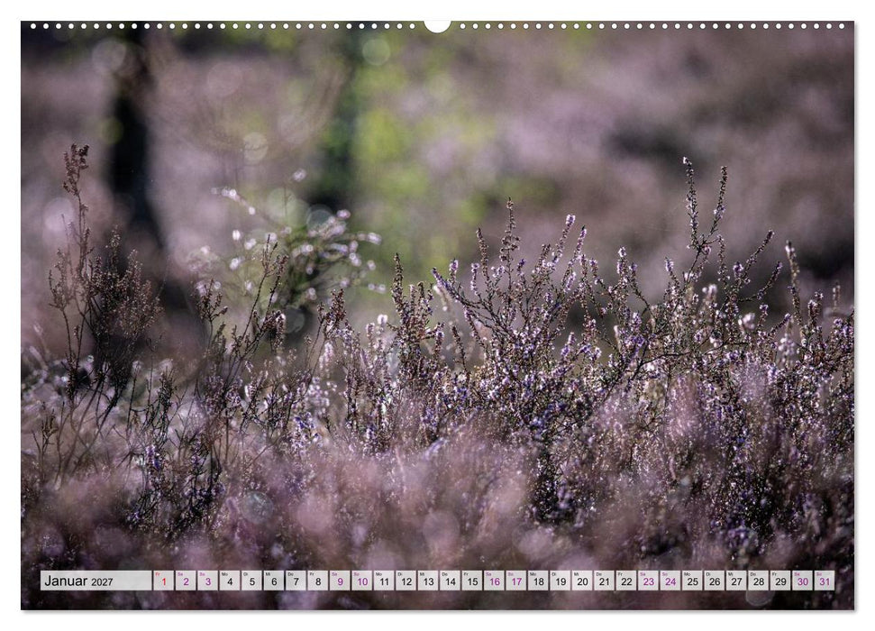 Zauber der Heide (CALVENDO Wandkalender 2027)