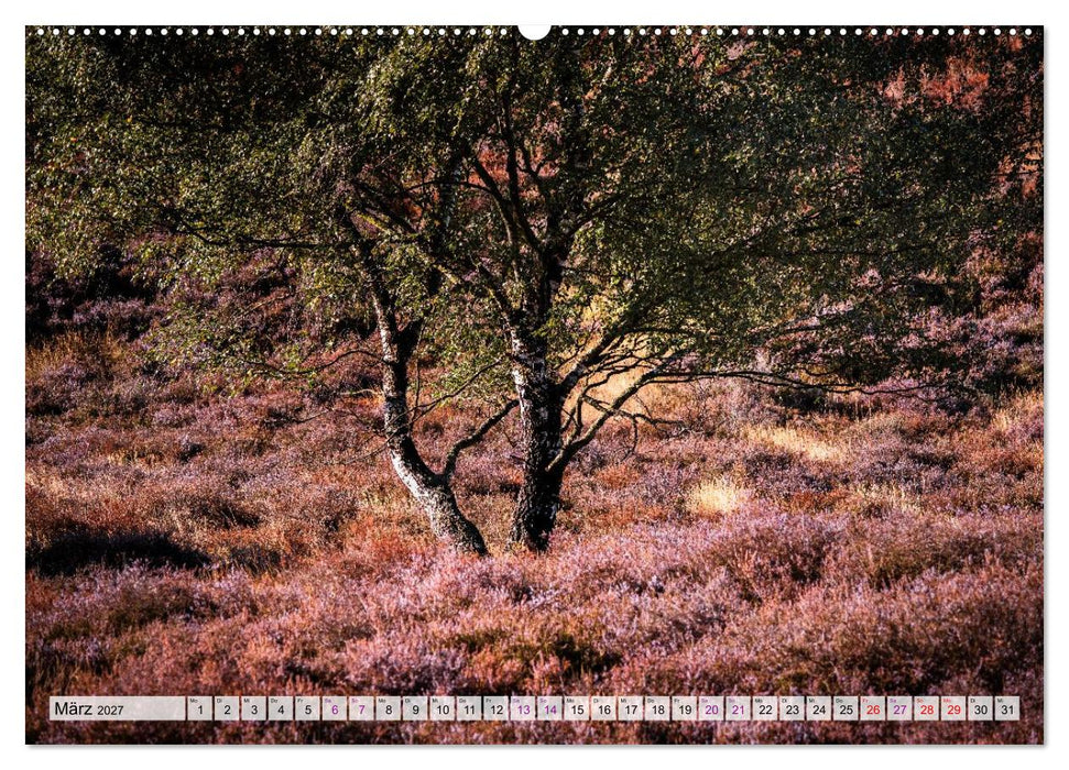 Zauber der Heide (CALVENDO Wandkalender 2027)