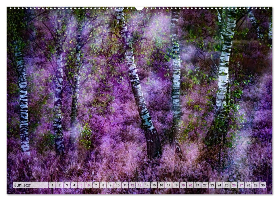 Zauber der Heide (CALVENDO Wandkalender 2027)