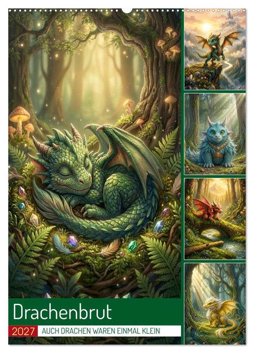 Drachenbrut (CALVENDO Wandkalender 2027)