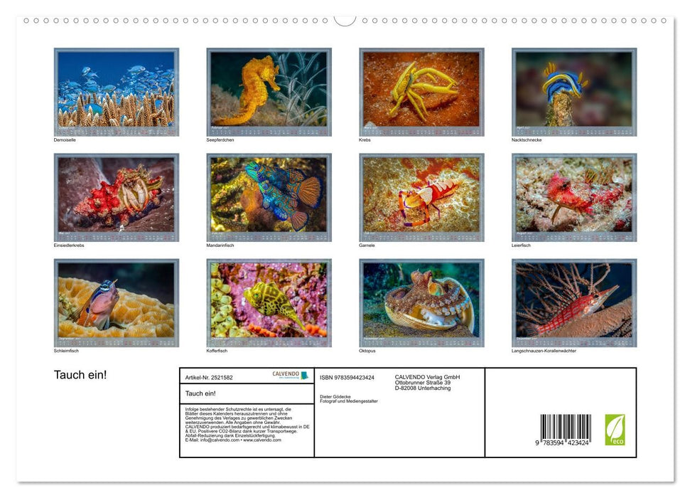 Tauch ein! (CALVENDO Premium Wandkalender 2027)