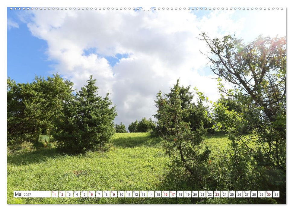 Angepasste Körper (CALVENDO Wandkalender 2027)