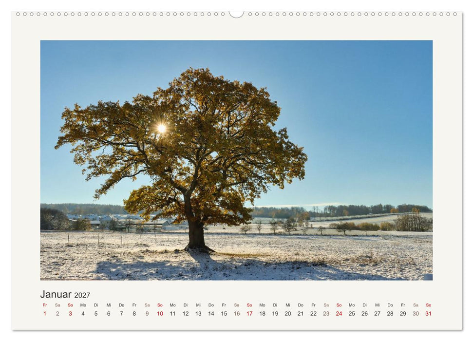 Nieste (CALVENDO Wandkalender 2027)