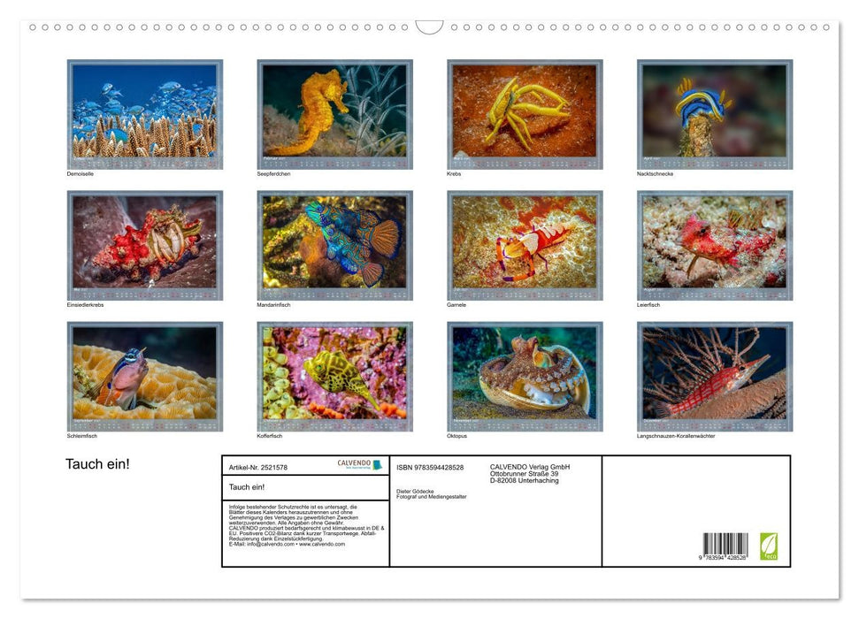 Tauch ein! (CALVENDO Wandkalender 2027)