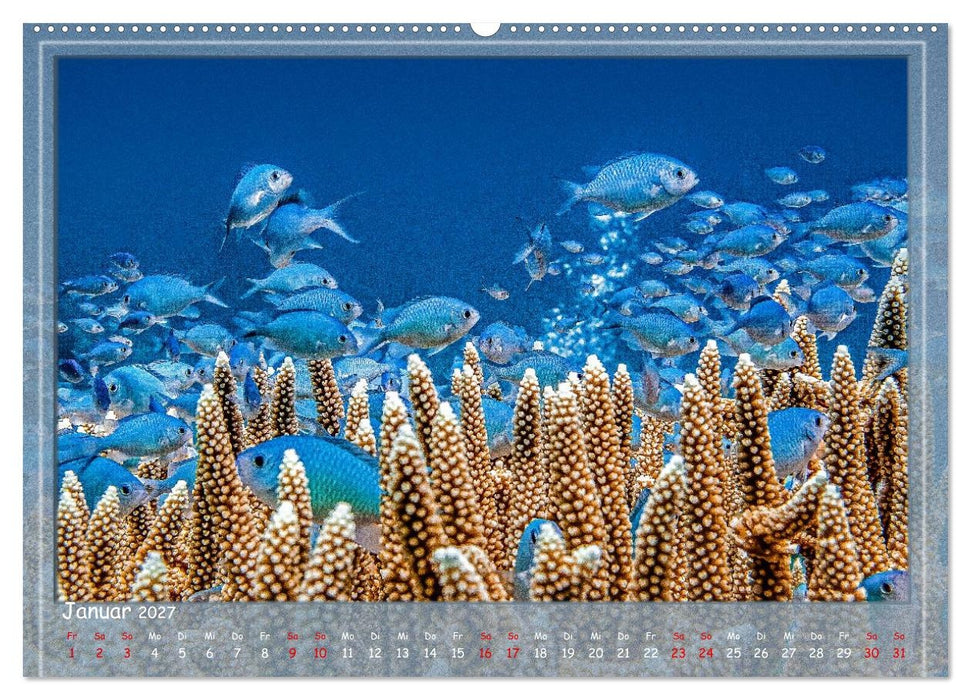 Tauch ein! (CALVENDO Wandkalender 2027)