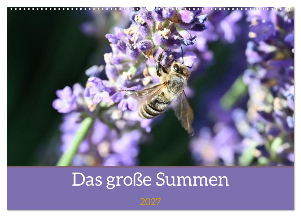 Das große Summen (CALVENDO Wandkalender 2027)