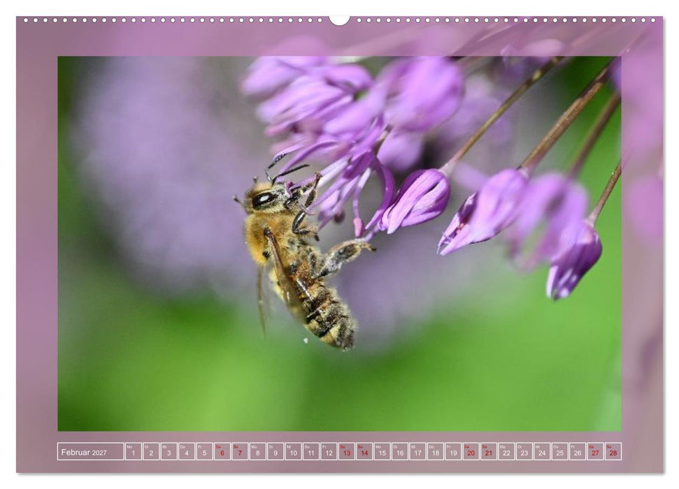 Das große Summen (CALVENDO Wandkalender 2027)