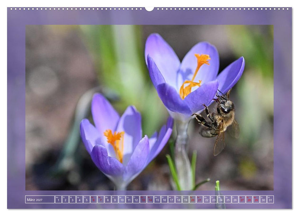 Das große Summen (CALVENDO Wandkalender 2027)