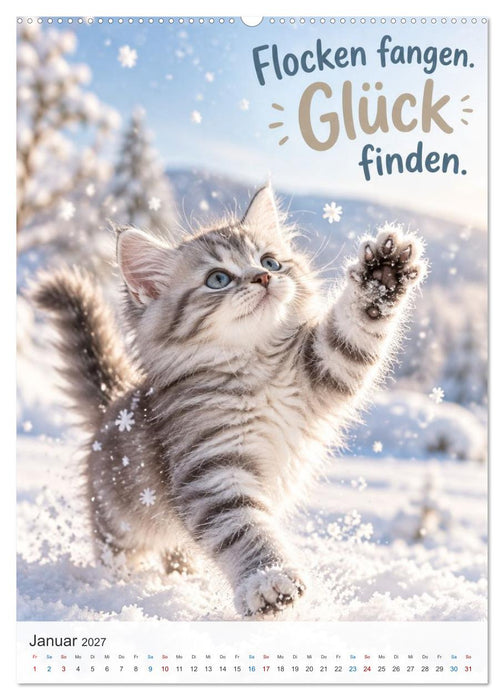 Ein Pfötchen Glück (CALVENDO Premium Wandkalender 2027)