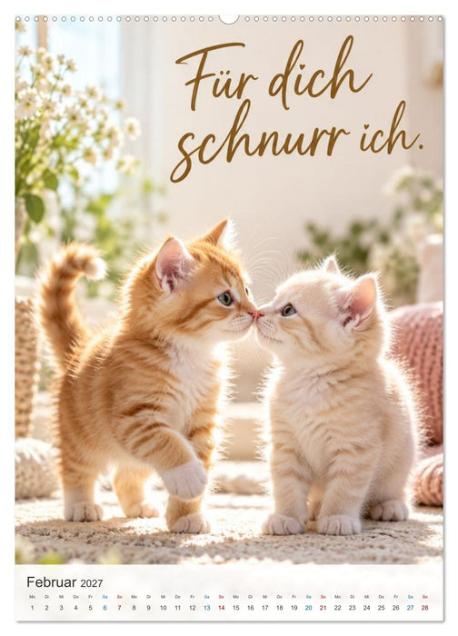 Ein Pfötchen Glück (CALVENDO Premium Wandkalender 2027)